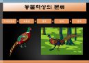 꿩의 생태학적 분류와 사육형태 2페이지