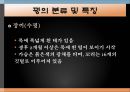 꿩의 생태학적 분류와 사육형태 4페이지