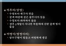 꿩의 생태학적 분류와 사육형태 5페이지