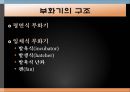 꿩의 생태학적 분류와 사육형태 13페이지