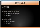 꿩의 생태학적 분류와 사육형태 22페이지