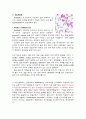 Apergilus oryzae & Bacillus subtilis 2페이지