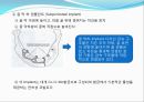 임플란트(Implant)와 관교의치의 개념 및 용어정리.ppt 8페이지