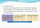 임플란트(Implant)와 관교의치의 개념 및 용어정리.ppt 37페이지
