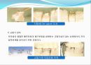 임플란트(Implant)와 관교의치의 개념 및 용어정리.ppt 40페이지
