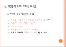 임플란트 제작과정.ppt 14페이지