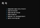 미국산 쇠고기 반대시위에 대한 평가 [촛불시위 확산경로] 2페이지
