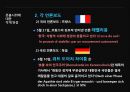 미국산 쇠고기 반대시위에 대한 평가 [촛불시위 확산경로] 20페이지