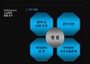 미국산 쇠고기 반대시위에 대한 평가 [촛불시위 확산경로] 24페이지