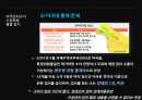 미국산 쇠고기 반대시위에 대한 평가 [촛불시위 확산경로] 27페이지