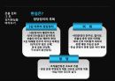 미국산 쇠고기 반대시위에 대한 평가 [촛불시위 확산경로] 37페이지