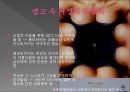 성의 상품화(광고 속 여성의 몸이상품화 되어지는 것에 대한 문제점과 그에 따른 개선방안)  14페이지