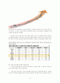 두산인프라코어,두산인프라코어중국진출,두산인프라코어중국시장마케팅,중국시장마케팅사례,해외진출사례,중국마케팅 22페이지