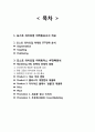 포스트 라이트업 마케팅전략 제안보고서(라이트업 STP,4P전략) 2페이지