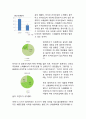 포스트 라이트업 마케팅전략 제안보고서(라이트업 STP,4P전략) 4페이지