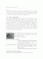 보르도 메독 와인[제출용] 5페이지
