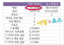 아딸떡복이,죠스  마케팅전략 및 분석 16페이지