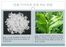 오감브랜딩 - 오감마케팅,마케팅사례,마케팅,브랜드,브랜드마케팅,기업,서비스마케팅,글로벌,경영,시장,사례,swot,stp,4p.PPT자료 9페이지