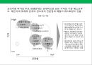 프리미엄 햄버거 프랜차이즈 사업계획서.ppt 11페이지