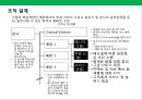 프리미엄 햄버거 프랜차이즈 사업계획서.ppt 29페이지