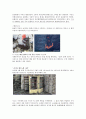 환경윤리와 환경오염 7페이지