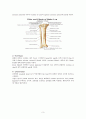 반월상연골제거수술(meniscectomy) 3페이지