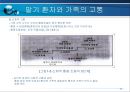 말기환자와 가족의 고통(호스피스-사회복지) 17페이지
