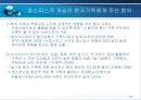 말기환자와 가족의 고통(호스피스-사회복지) 31페이지