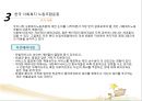 사회복지조직과 노사관리(사회복지행정론).ppt 17페이지