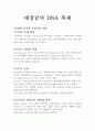 대장균(E.coli)의 DNA 복제(replication) 과정포함 1페이지
