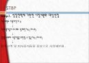 창원단감,단감마케팅,창원단감마케팅,창원단감해외진출전략 24페이지