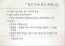 천황의 나라 일본 - 일본의 역사와 천황제(天皇制), 왕위계승.ppt 29페이지