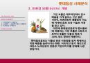 지속가능경영 관련 사례분석,유한킴벌리,LG화학,LG칼텍스정유,롯데칠성,지속가능경영,지속가능경영사례,지속경영 44페이지