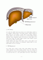 간절제술(liver lobectomy)술기 및 수술간호 3페이지