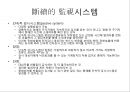 특별억제와 무력화 11페이지