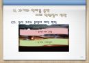 [비교정치행정론] 근대입헌주의 헌법질서와 현대복지국가 헌법질서의 비교.PPT자료 14페이지