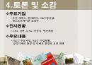 미래사회와 표준 18페이지
