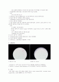 Gram staining 4페이지