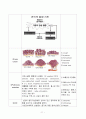copd case(간호대학원) 12페이지