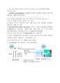 외국의 기후변화, 탄소배출, 대응 현황 및 시사점 6페이지