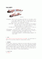 [신경외과] Seizure(발작) 1페이지