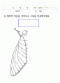 보육교사로 가정하여 여름과 관련된 주제로 이야기[여름]프로젝트교육계획안 52페이지