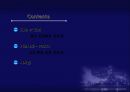 포스코의SCM,포스코,SCM,e-SCM,기업사례,포스코도입배경,포스코설계,포스코효과,SCM사례 2페이지