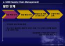 포스코의SCM,포스코,SCM,e-SCM,기업사례,포스코도입배경,포스코설계,포스코효과,SCM사례 19페이지