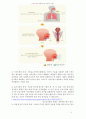 언어장애에대해서 - 언어장애의 정의, 원인, 분류 및 특징, 치료법 4페이지