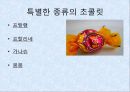 초콜릿 한층 더 즐기는 방법  12페이지