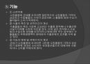 관세 정책 5페이지