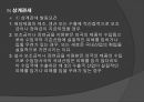 관세 정책 17페이지