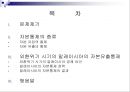 자본에 대한 통제와 관리는 경제를 왜곡시키는가  2페이지