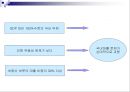 자본에 대한 통제와 관리는 경제를 왜곡시키는가  8페이지